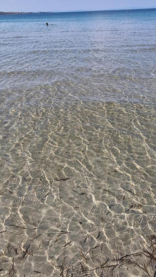 Eve Santa Marina Studios - Sea, Pools, Relax سوزوبول المظهر الخارجي الصورة